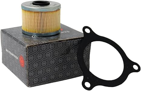 Royal Enfield Oil Filter Himalayan 411/450